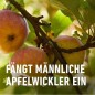 Preview: COMPO BIO Apfelwickler Lockstoff, 3 Stück, 22593