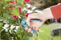 Preview: Gardena Classic Gartenschere blau 08853-20