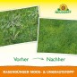 Preview: Neudorff RasenDünger Moos- & UnkrautStopp 5 Kg für 100m², organisch-mineralischer Dünger mit Eisen und Kalium, 1295