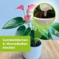 Preview: PROTECT GARDEN Lizetan Plus Combistäbchen, Langzeit-Schädlingsfrei und Premium-Dünger in Einem, 40 Stück, A032842