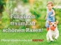Preview: Substral Magisches Rasen-Pflaster, 3in1 Rasenreparatur Rasensamen + Premium Keimsubstrat + Dünger, 3.6 kg 87661