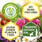 Preview: Substral Pflanzennahrung Nahrung, Qualitäts-Flüssigdünger, 1 Liter 7399