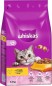 Preview: Whiskas Adult 1+ Trockenfutter Huhn, 3,8kg, 325939