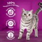 Preview: Whiskas Adult 1+ Trockenfutter Huhn, 3,8kg, 325939