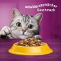 Preview: Whiskas Adult 1+ Trockenfutter Huhn, 3,8kg, 325939