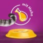 Preview: Whiskas Adult 1+ Trockenfutter Huhn, 3,8kg, 325939