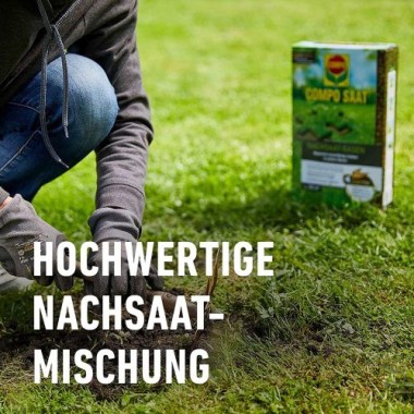 COMPO SAAT Nachsaat-Rasen, 1 kg, für 50 m², 13883