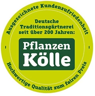 Neudorff Azet Rasendünger 5 kg 1301