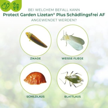 PROTECT GARDEN Lizetan Plus Schädlingsfrei AF, Blattlausfrei, 800 ml Spray A032906, Reg Nr.: 4143-0