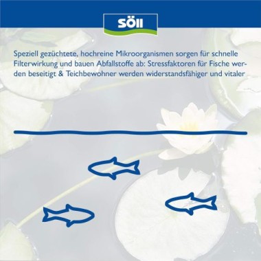 Söll FilterstarterBakterien hochreine Mikroorganismen für Teiche, 100g für 15.000, 80587