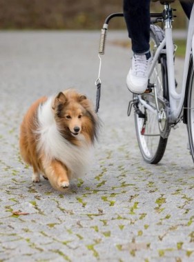 Trixie Hunde Biker-Set, Größe S-M, 1287