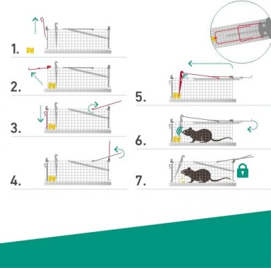 Windhager Drahtkasten-Rattenfalle 05085