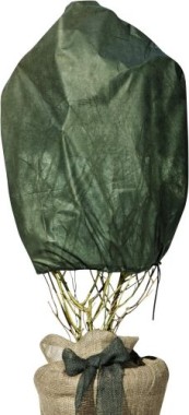 Windhager Rosen-Vlies Haube, Wintervlies-Haube, 3 Stück, grün, 0,75 x 1 m, 30 g/m², 06726