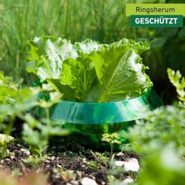 Windhager Schneckenabwehr, Pflanzenschutz vor Frost Hagel Sonne Schnecken Vögel, 6 Stück, 02435