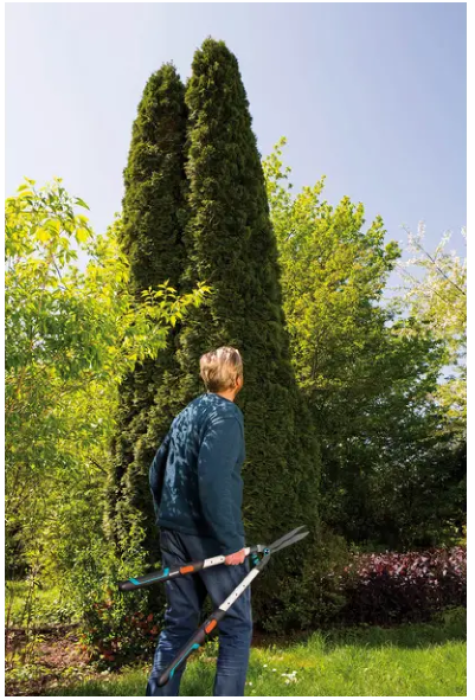 Gardena Heckenschere Telecut, 70-90 cm teleskopierbar, 12304-30