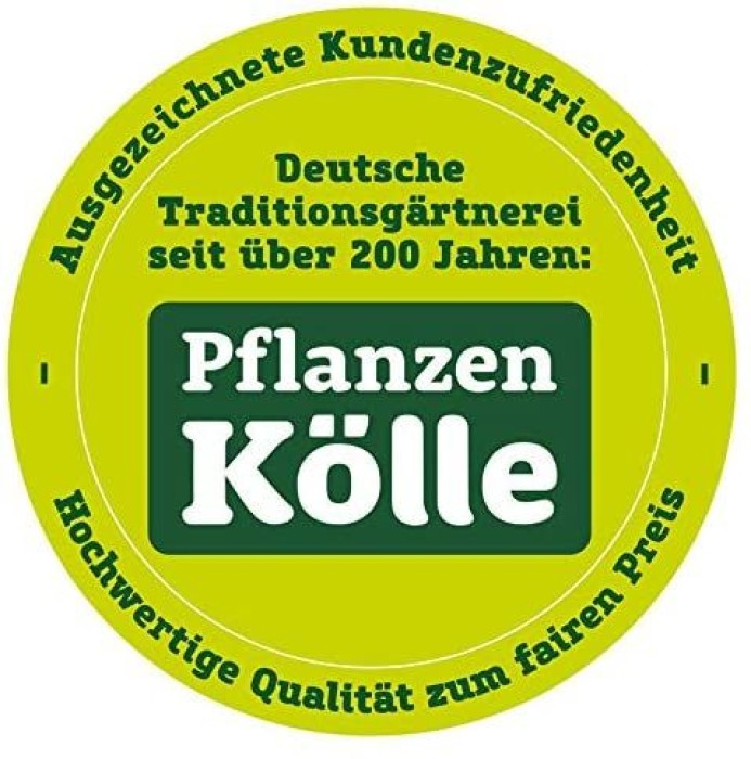 Neudorff Azet Rasendünger 5 kg 1301