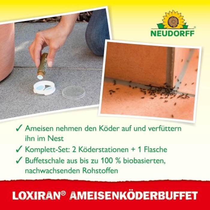 Neudorff Loxiran AmeisenköderBuffet – Nachfüllbare und nachhaltige Ameisenköderstation für Innen und Außen, 2 Stück, 01365