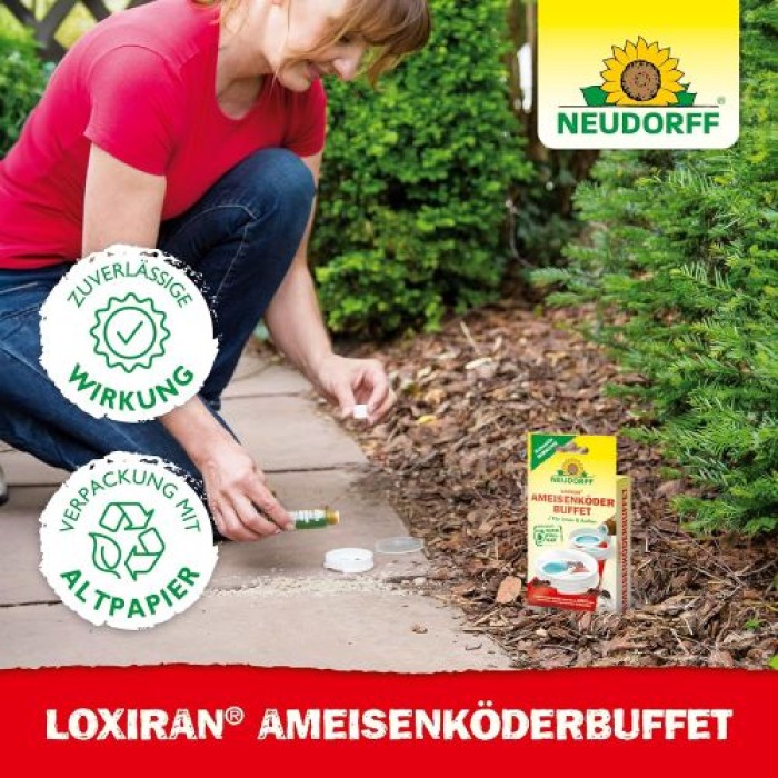 Neudorff Loxiran AmeisenköderBuffet – Nachfüllbare und nachhaltige Ameisenköderstation für Innen und Außen, 2 Stück, 01365