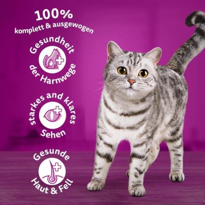 Whiskas Adult 1+ Trockenfutter Huhn, 3,8kg, 325939