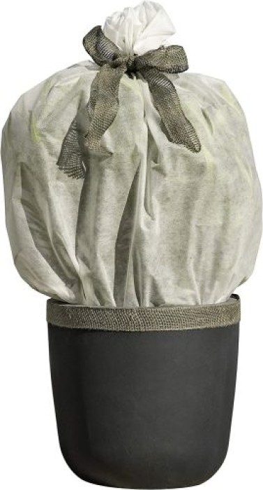 Windhager Winter-Vlies ÖKO PROTECT, Thermovlies, Gartenvlies, Frostschutz und Kälteschutz für Bäume und Pflanzen, Winterschutzhaube, 30g/m², 1,5 x 3m, 07445 1,5 x 3 m 07445